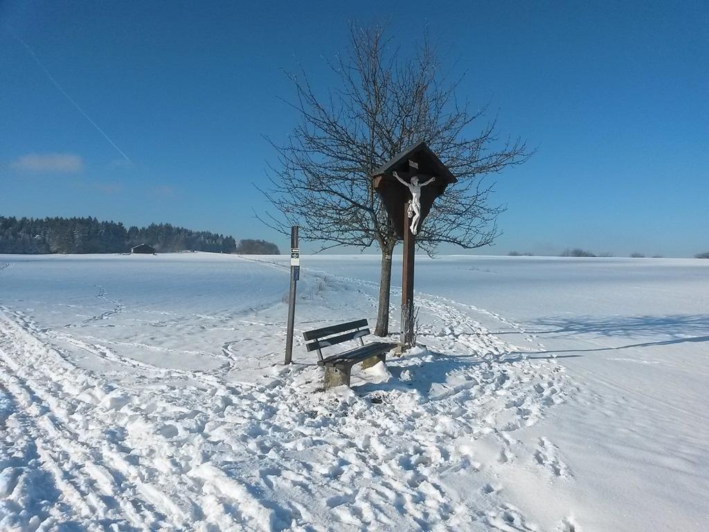 Ferienwohnung Am Kapellenaecker Neumarkt in der Oberpfalz Exteriör bild